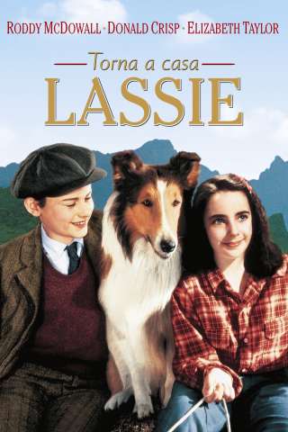 Torna a casa Lassie! (1943) streaming