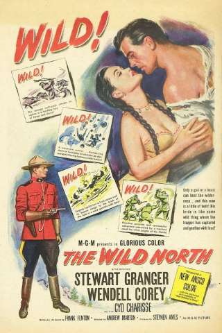 Inferno bianco (1952) streaming