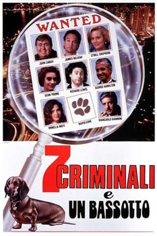 7 criminali e un bassotto (1992) streaming