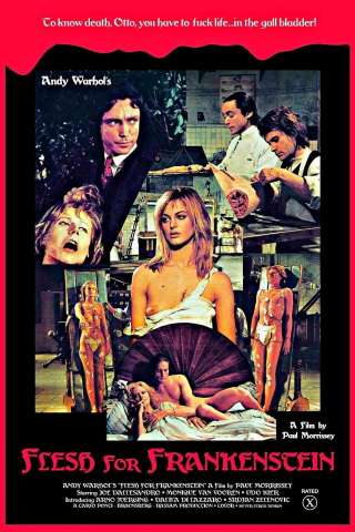 Il mostro è in tavola... barone Frankenstein (1973) streaming