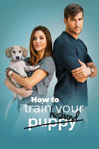 Un marito da addestrare (2018) streaming