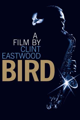 Bird (1988) streaming