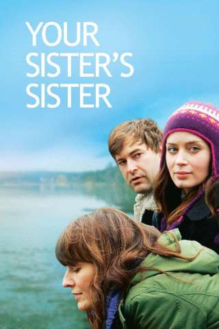 Your Sister's Sister (2011) streaming