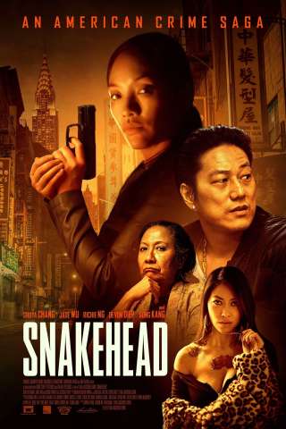 Snakehead - I boss di Chinatown (2021) streaming