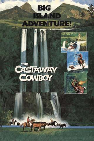 Un cowboy alle Hawaii (1974) streaming