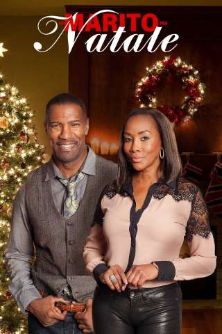 Un marito per Natale (2016) streaming