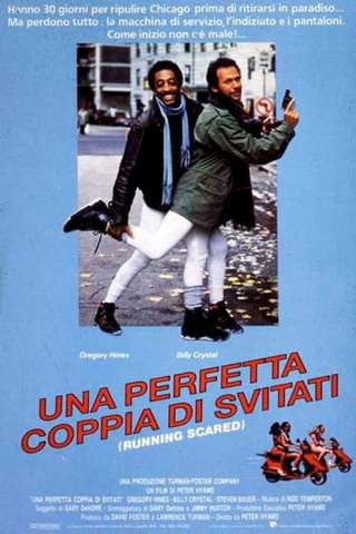 Una perfetta coppia di svitati (1986) streaming