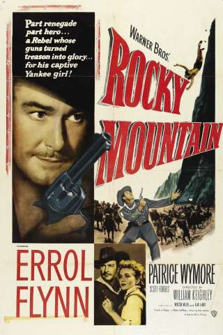Il 7° Lancieri carica (1950) streaming