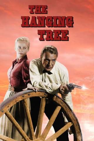 L'albero degli impiccati (1959) streaming