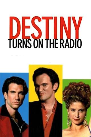 Mister Destiny (1995) streaming