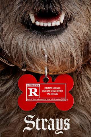 Doggy Style (2023) streaming