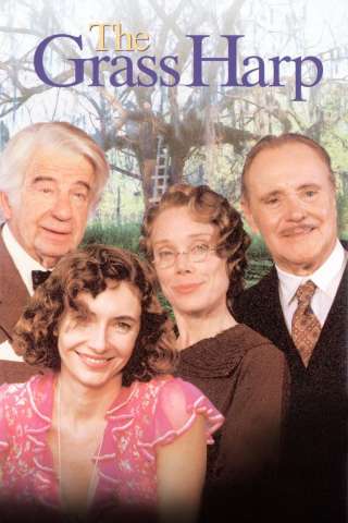 Storie d'amore (1995) streaming