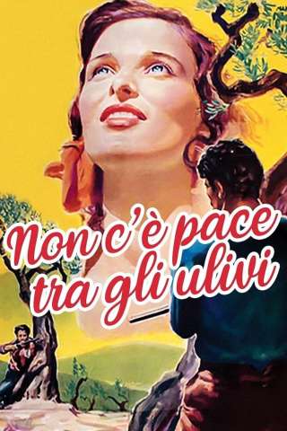 Non c'è pace tra gli ulivi (1950) streaming