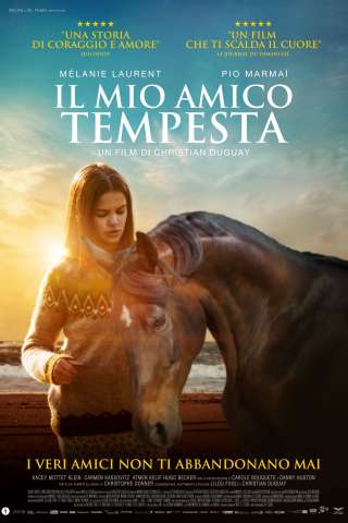 Il mio amico Tempesta (2022) streaming