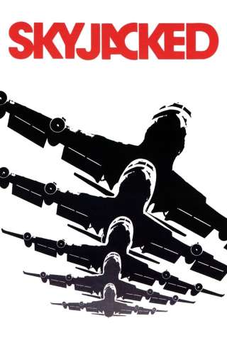 Il pirata dell'aria (1972) streaming