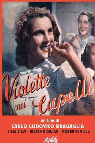 Violette nei capelli (1942) streaming