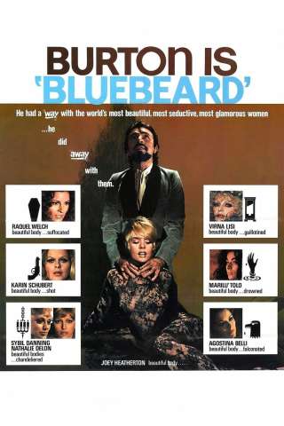 Barbablù (1972) streaming