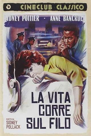La vita corre sul filo (1965) streaming