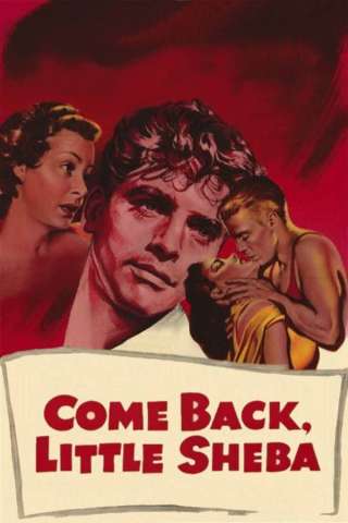 Torna piccola Sheba (1952) streaming