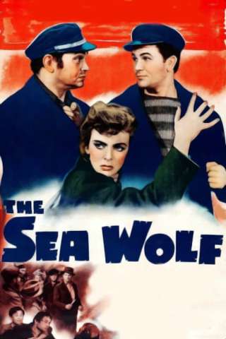 Il lupo dei mari (1941) streaming