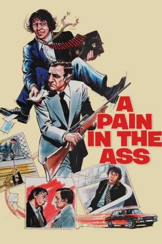 Il rompiballe (1973) streaming