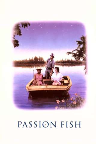 Amori e amicizie (1992) streaming