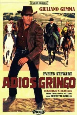 Adios Gringo (1965) streaming
