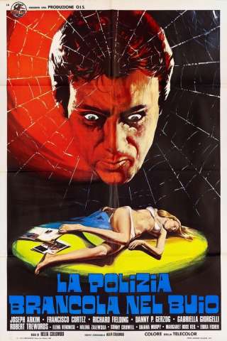 La polizia brancola nel buio (1975) streaming