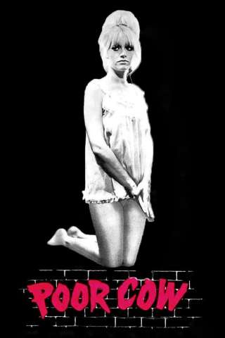 Poor Cow (1967) streaming