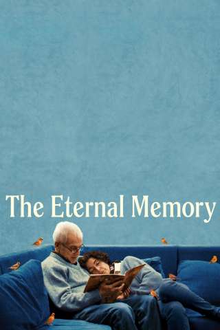 The Eternal Memory (2023) streaming
