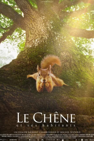 La quercia e i suoi abitanti (2022) streaming