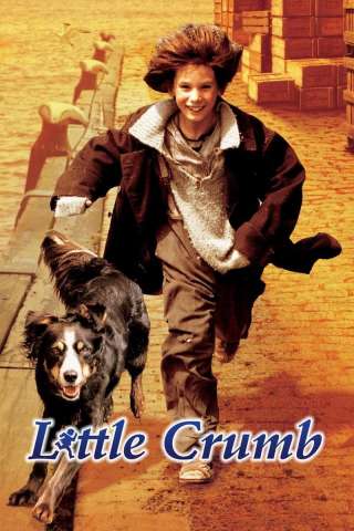 Il sogno di Crumb (1999) streaming