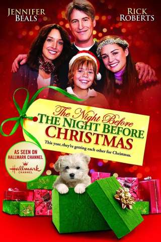 La notte prima della notte di Natale (2010) streaming