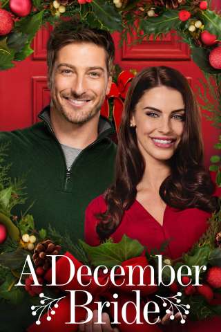 Due matrimoni e un Natale (2016) streaming