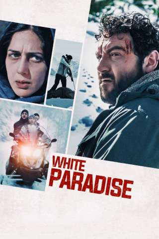 Sopravvissuti (2023) streaming