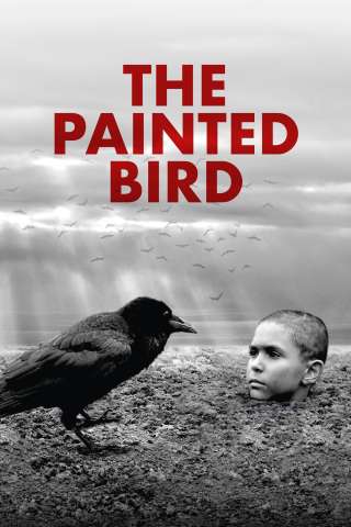 The Painted Bird - Nabarvené ptáče (2019) streaming