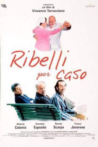 Ribelli per caso (2000) streaming