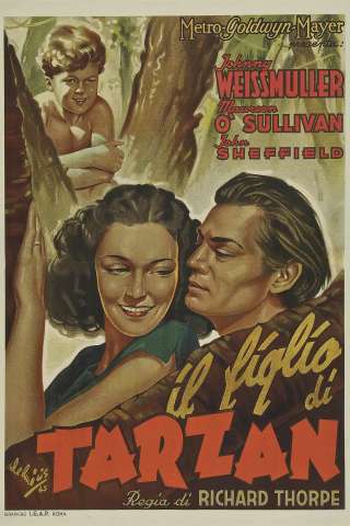 Il figlio di Tarzan (1939) streaming