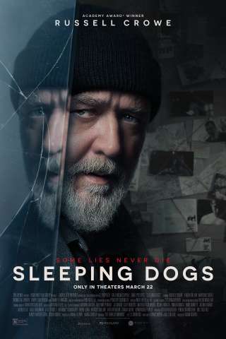 Sleeping Dogs (2024) streaming