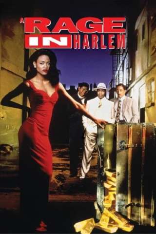 Rabbia ad Harlem (1991) streaming