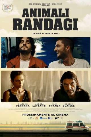Animali Randagi (2024) streaming