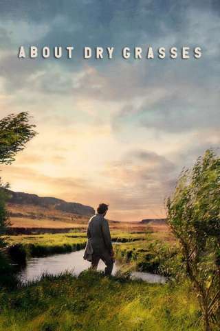 Racconto di due stagioni (2023) streaming
