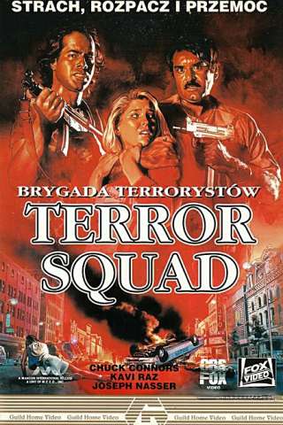 Terror Squad (1988) streaming