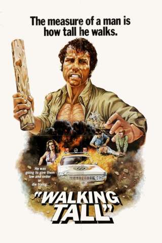 Un duro per la legge (1973) streaming