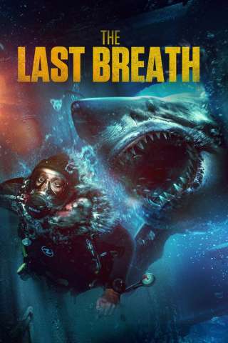 L’ultimo respiro - Trappola negli abissi (2024) streaming