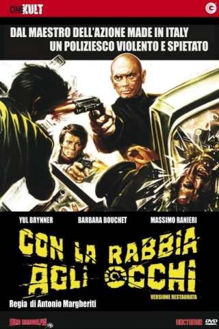Con la rabbia agli occhi (1976) streaming