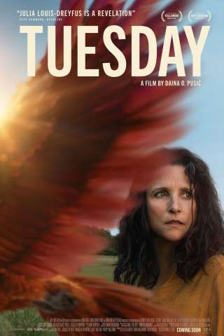 Tuesday (2023) streaming