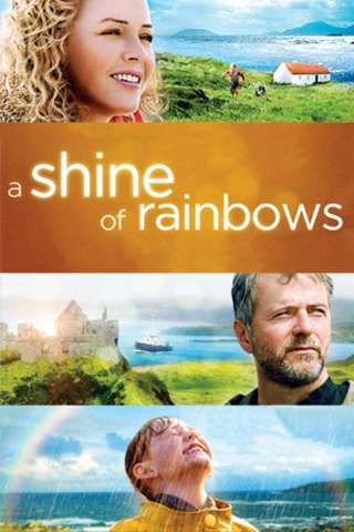 La Magia della Vita (2009) streaming