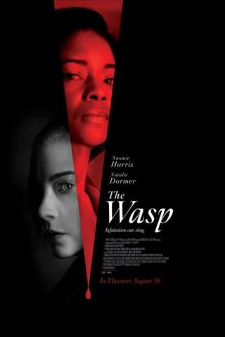 The Wasp (2024) streaming