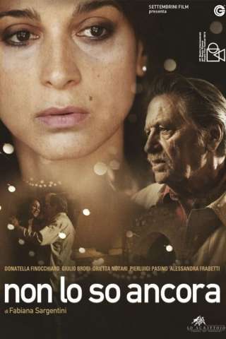 Non lo so ancora (2013) streaming